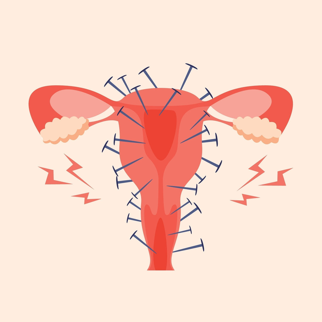 Hormones + Perimenopause: Symptoms and Support