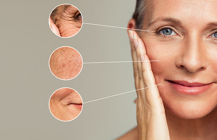 Face Feels - Hyaluxe Body