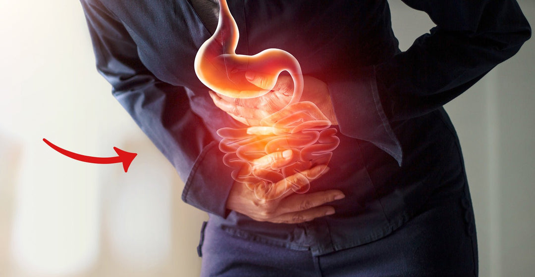 10-20lbs of Fecal Or Fat?