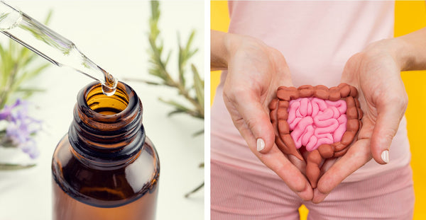 Amazing benefits of Essential Oils for your Gut Health!
