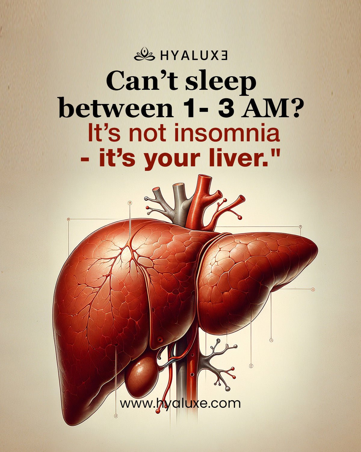 Can't Sleep between 1-3am? It's not Insomnia. - Hyaluxe Body