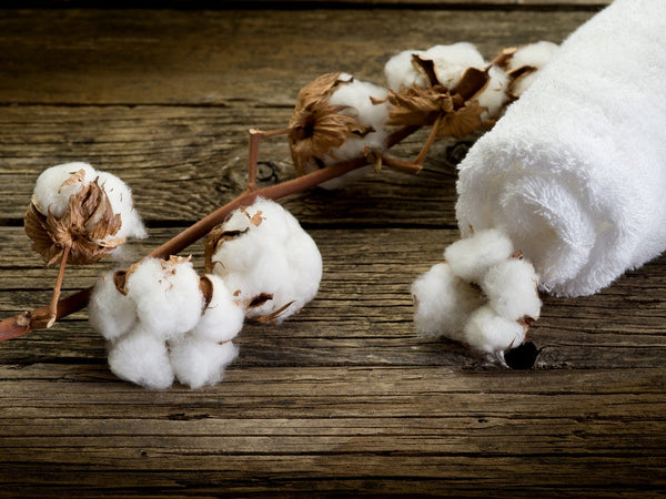 Cotton for your skin and transdermal absorption!
