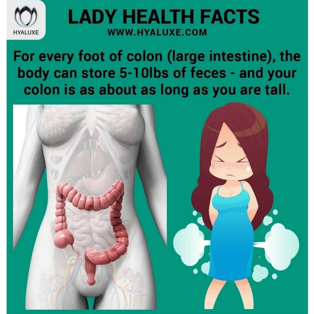 5-15lbs of fecal matter....not fat..... – Hyaluxe Body