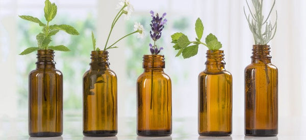 Elevate Your Skincare Routine with Pure Plant Oils