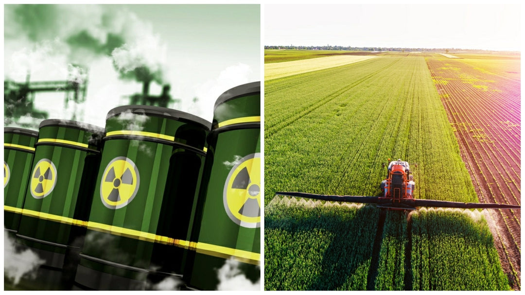 Exposición a metales pesados: signos, síntomas y una opción segura de desintoxicación