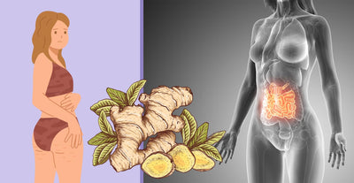 Ginger roots and its benefits