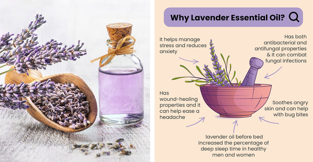 Lavender and its benefits