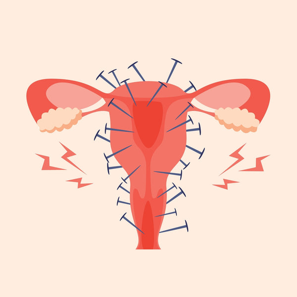Hormones + Perimenopause: Symptoms and Support