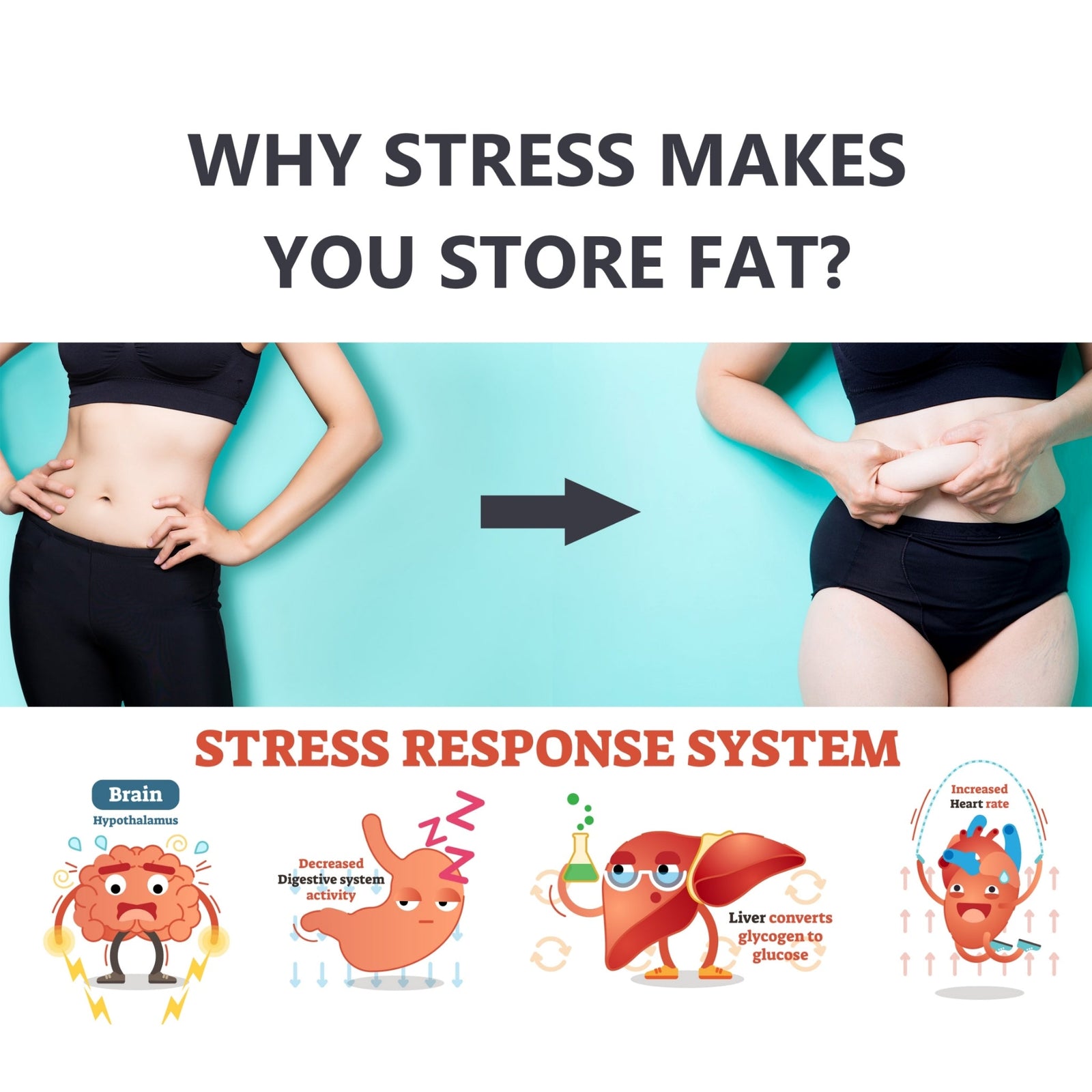 Stress can make you fat.... here's how - Hyaluxe Body