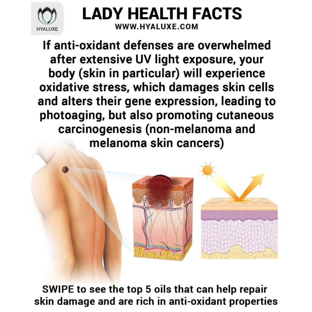 These will help protect and heal your skin - researchers show : - Hyaluxe Body