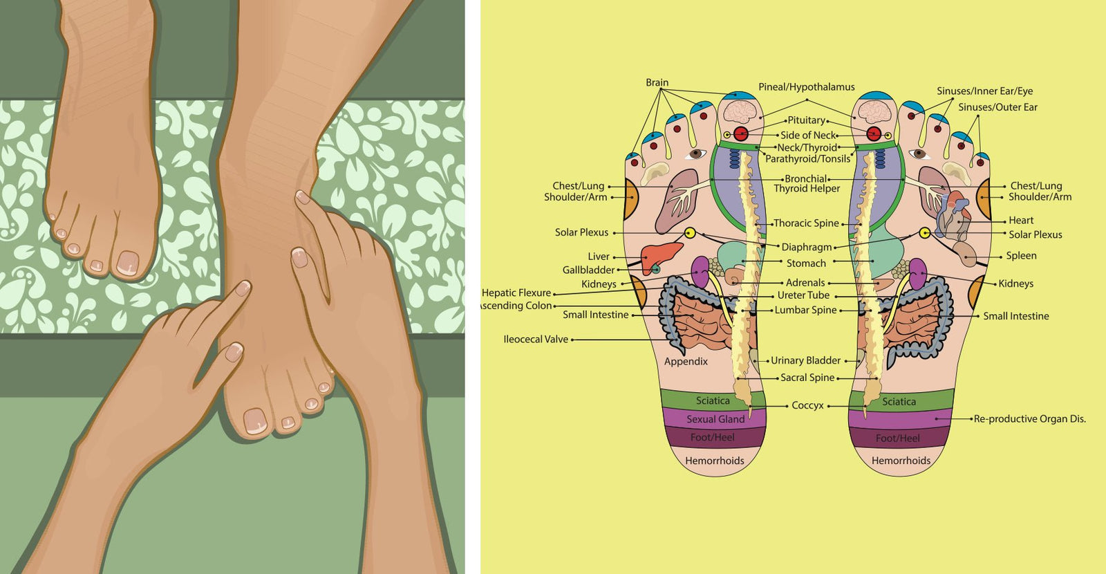 What is reflexology and does it really work? - Hyaluxe Body