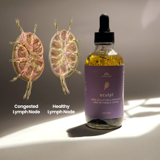 Digest, Debloat and Metabolize Bundle