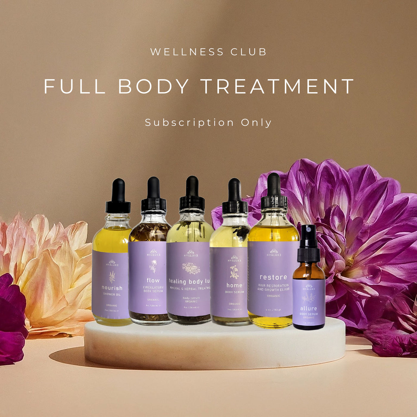 WELLNESS CLUB MEMBERSHIP: FULL BODY