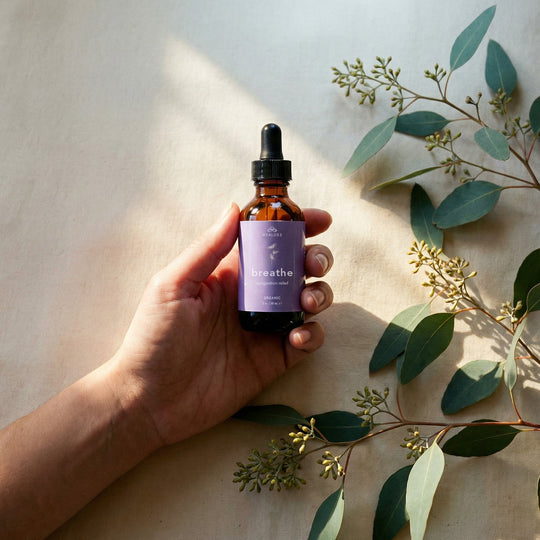 BREATHE: Sinus Congestion Relief - Hyaluxe Body