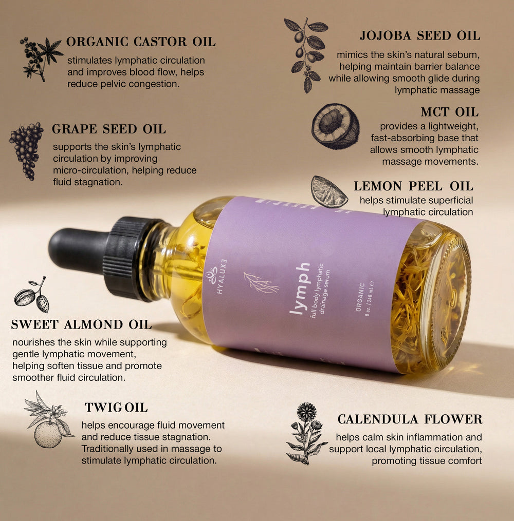 Lymphatic Foundations Bundle