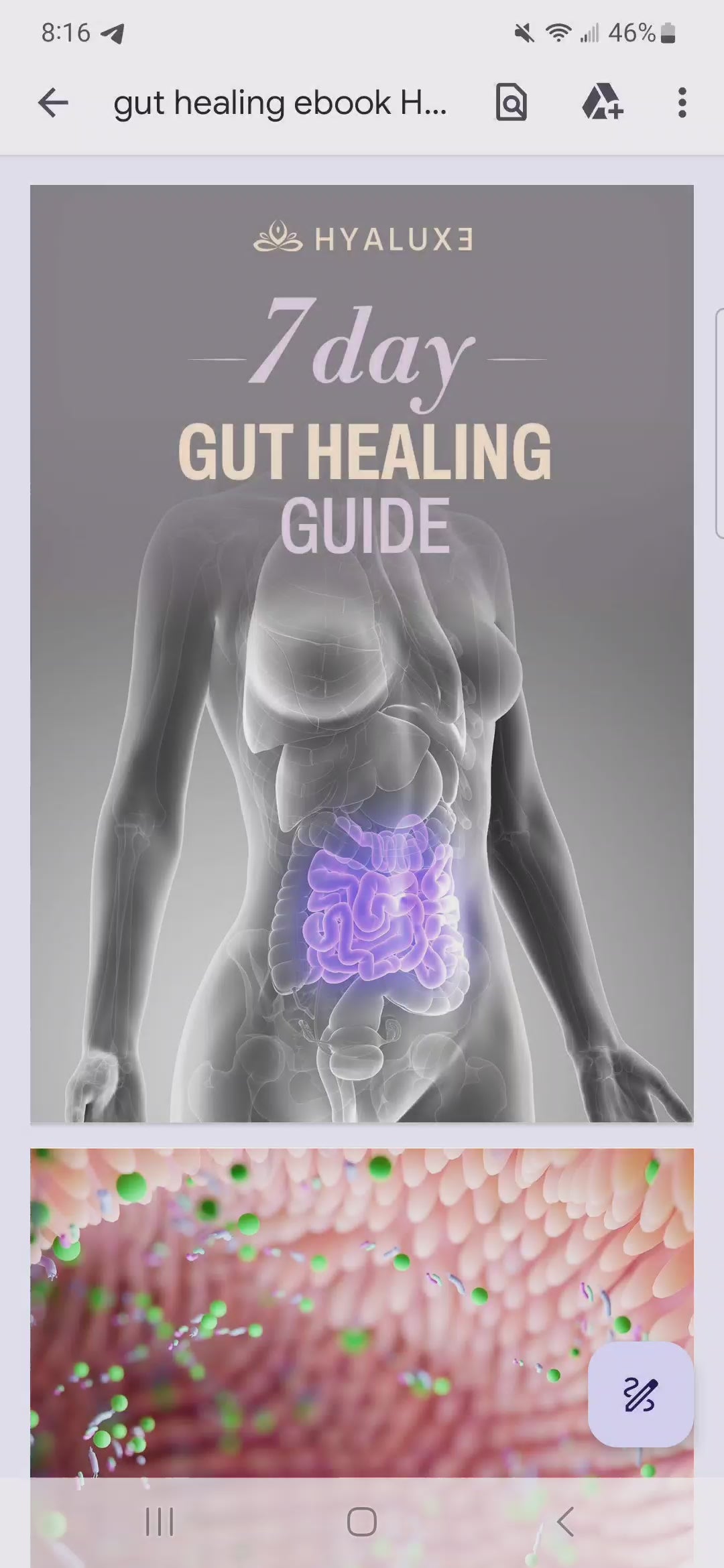 7 Day Gut Healing Detox (Free)
