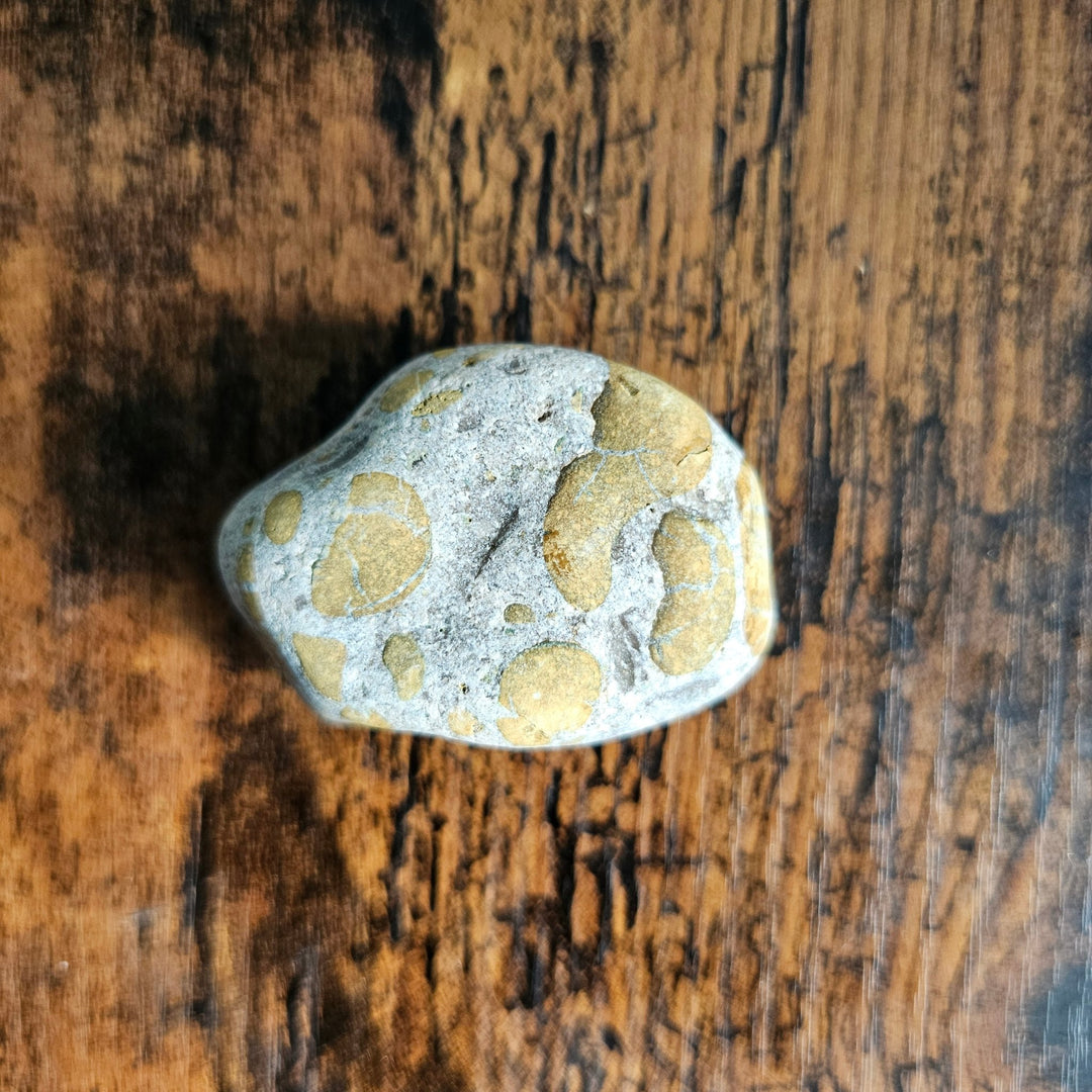 Yellow Speckled Riverstone - Hyaluxe Body